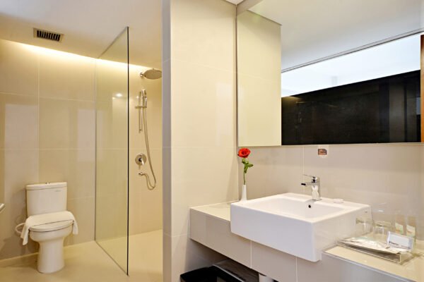 Suite Bathroom 2